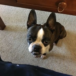 Meet your Posher, Leah